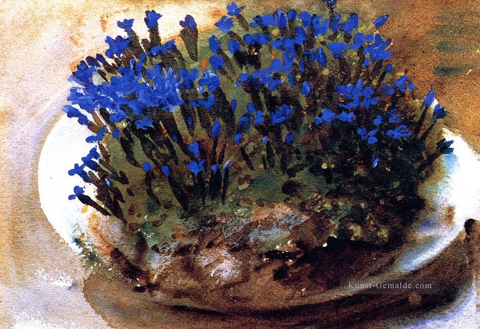 Blau Enzianen John Singer Sargent impressionistische Blumen Ölgemälde